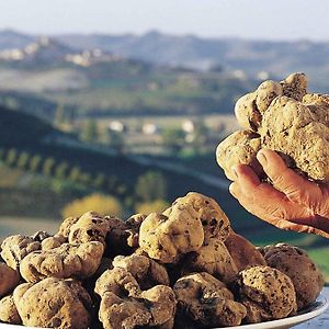 Lanterna delle Fate B&B